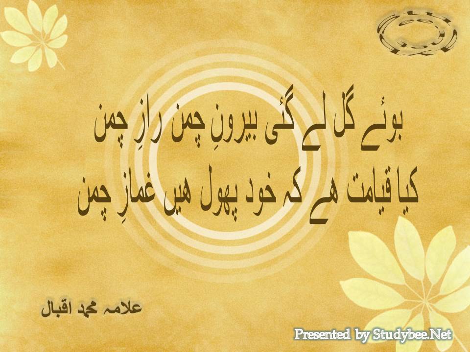 Booye gul le gayee beroon e chaman raz e chaman, kya qayamant hy ke khud phool hain ghumaz e chaman