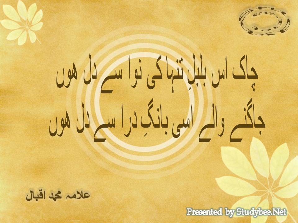 Chak is bulbul e tanha ki nawa se dil hon, jagnay walay isi bang e dara se dil hon