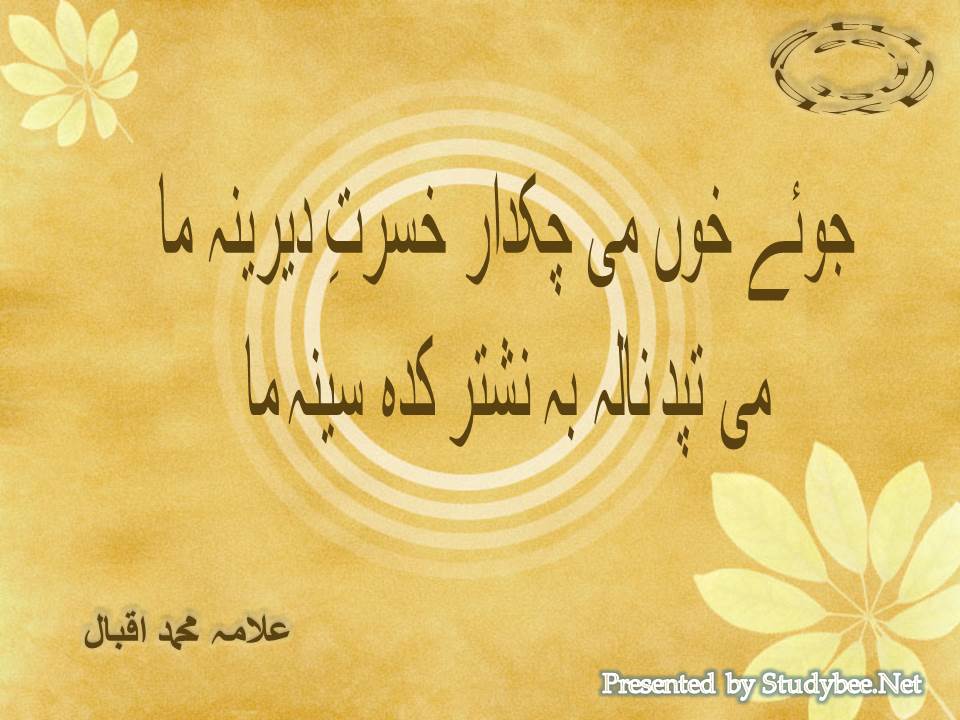 Jooye khun mi chakdar khasrat e derina ma, mi tapad nala ba nashtar kada seena ma