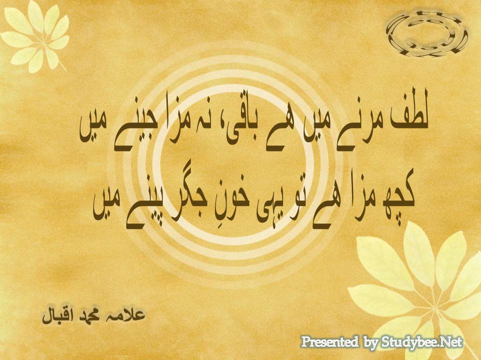Lutf marnay main hy baqi na maza jeenay main, kuch maza hy to yahi khoon e jigar peenay main