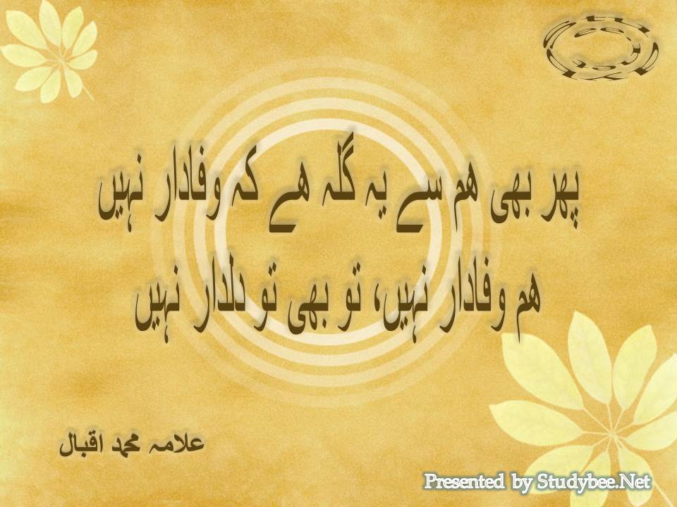 Phir bhi ham se ye gila hy ke wafadar nahi, ham wafadar nahi, tu bhi to dildar nahi