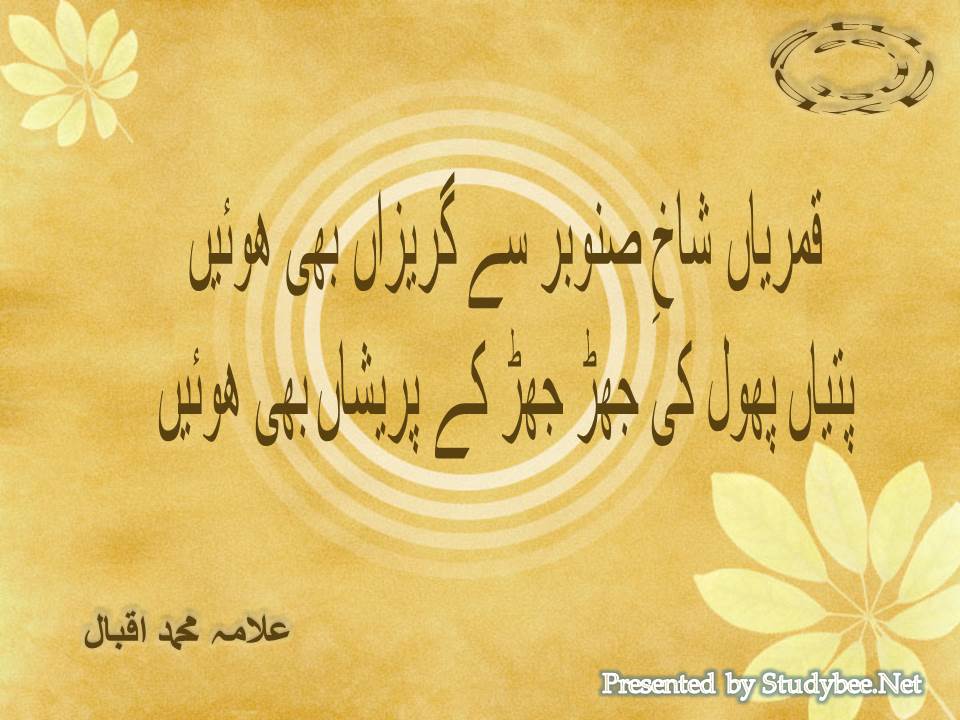 Qamrian shakh e sanobar se gurezan bhi huwen, patyan phool ki jhar jhar ke pareshan bhi huwen