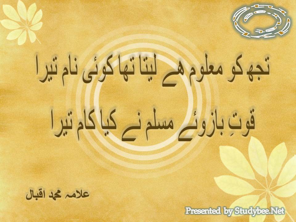 Tuj ko maloom ky leta tha koi nam tera, quwat e bazoo e mulsim ne kia kam tera