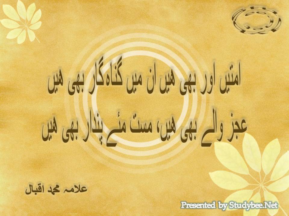 Umaten aur bhi hain un main gunahgar bhi hain, ijiz waly bhi hain mast maye pandar bhi hain