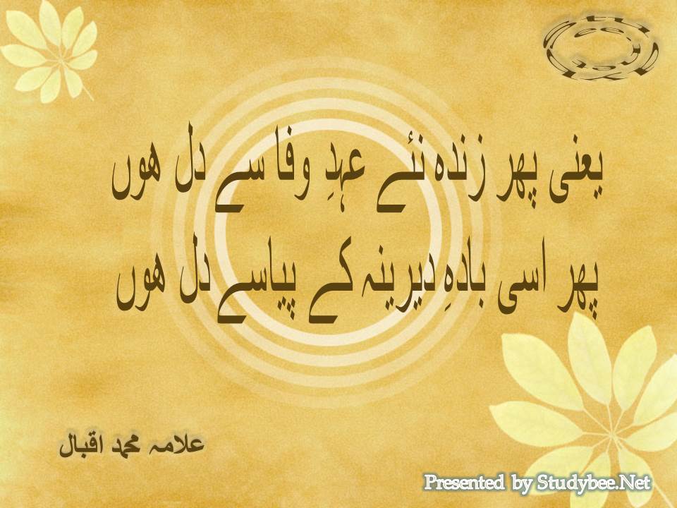 Yani phir zinda naye ahd e wafa se dil hon, phir isi bada dereena ke pyasay dil hon