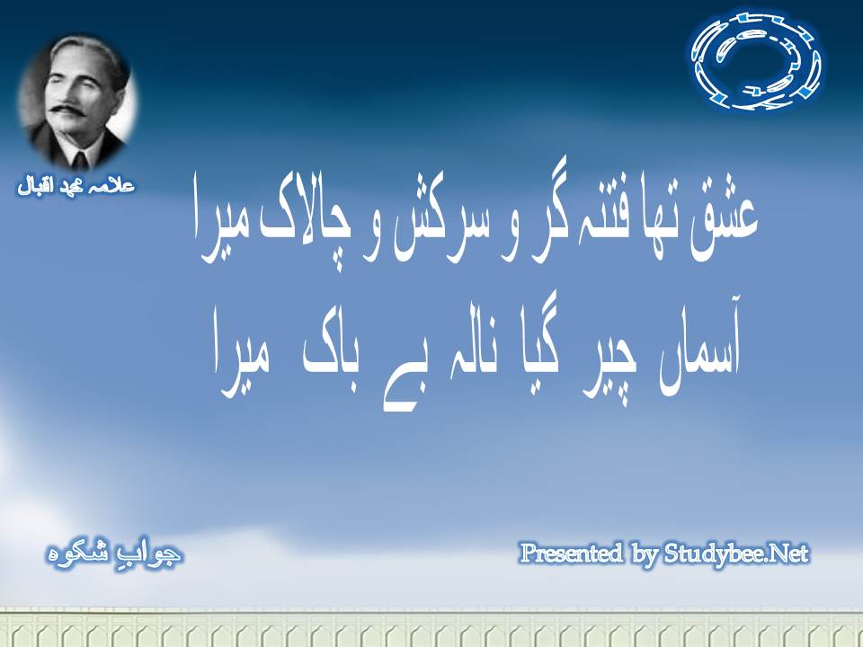 Ishq tha fitna gar o sarkash o chalak mera,