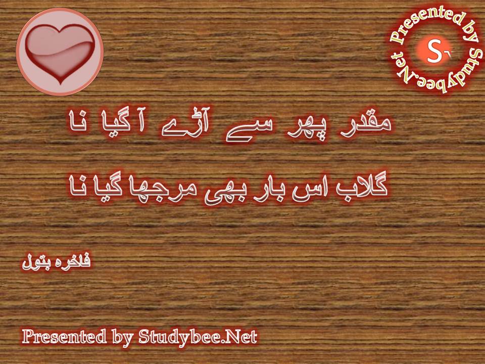Muqadar phir se aray agya na, gulab is bar bhi murjha gya na