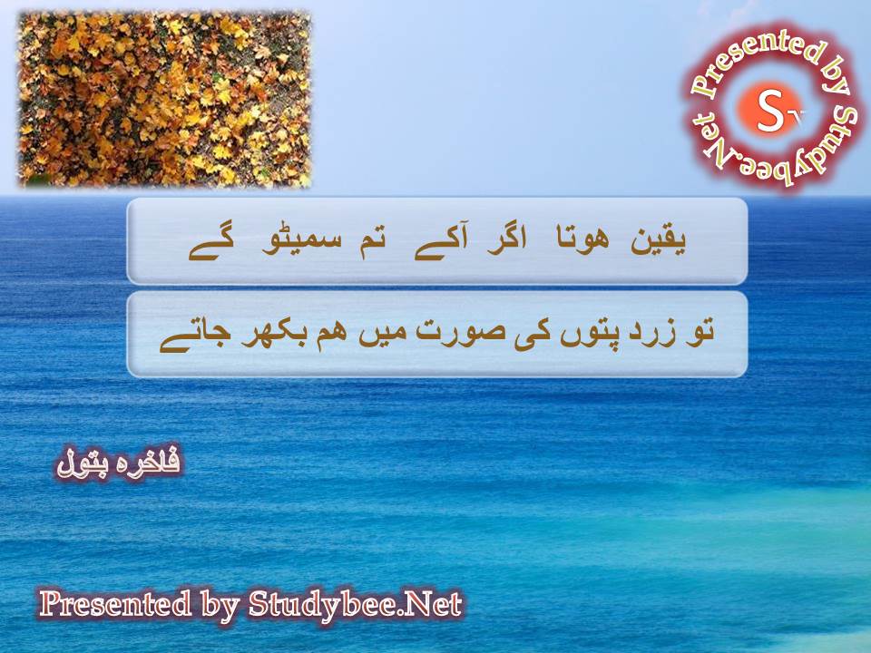 Yaqeen hota agar a ke tum sameto gy, to zard paton ki surat main ham bikhar jaty